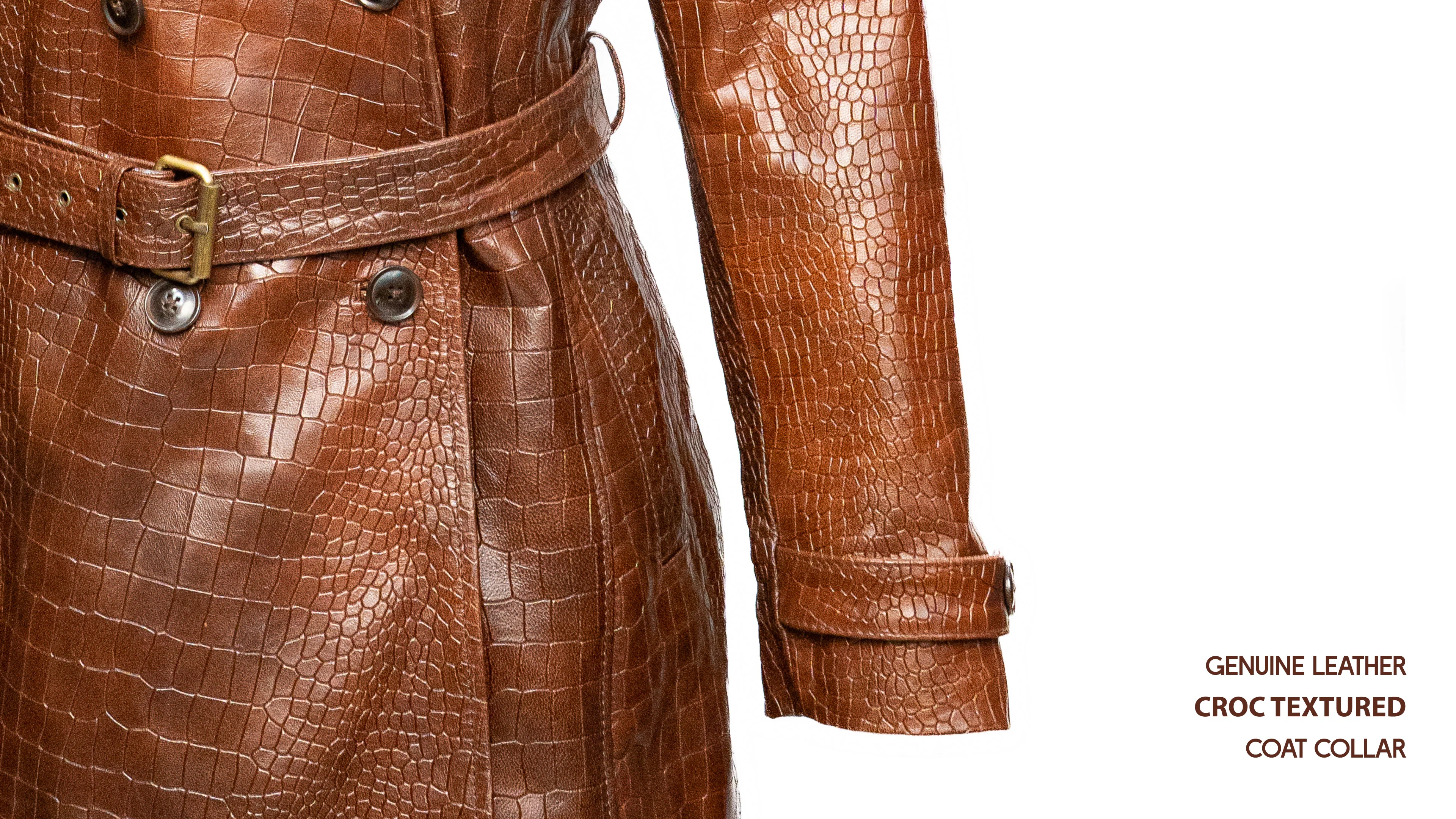 Back view of 