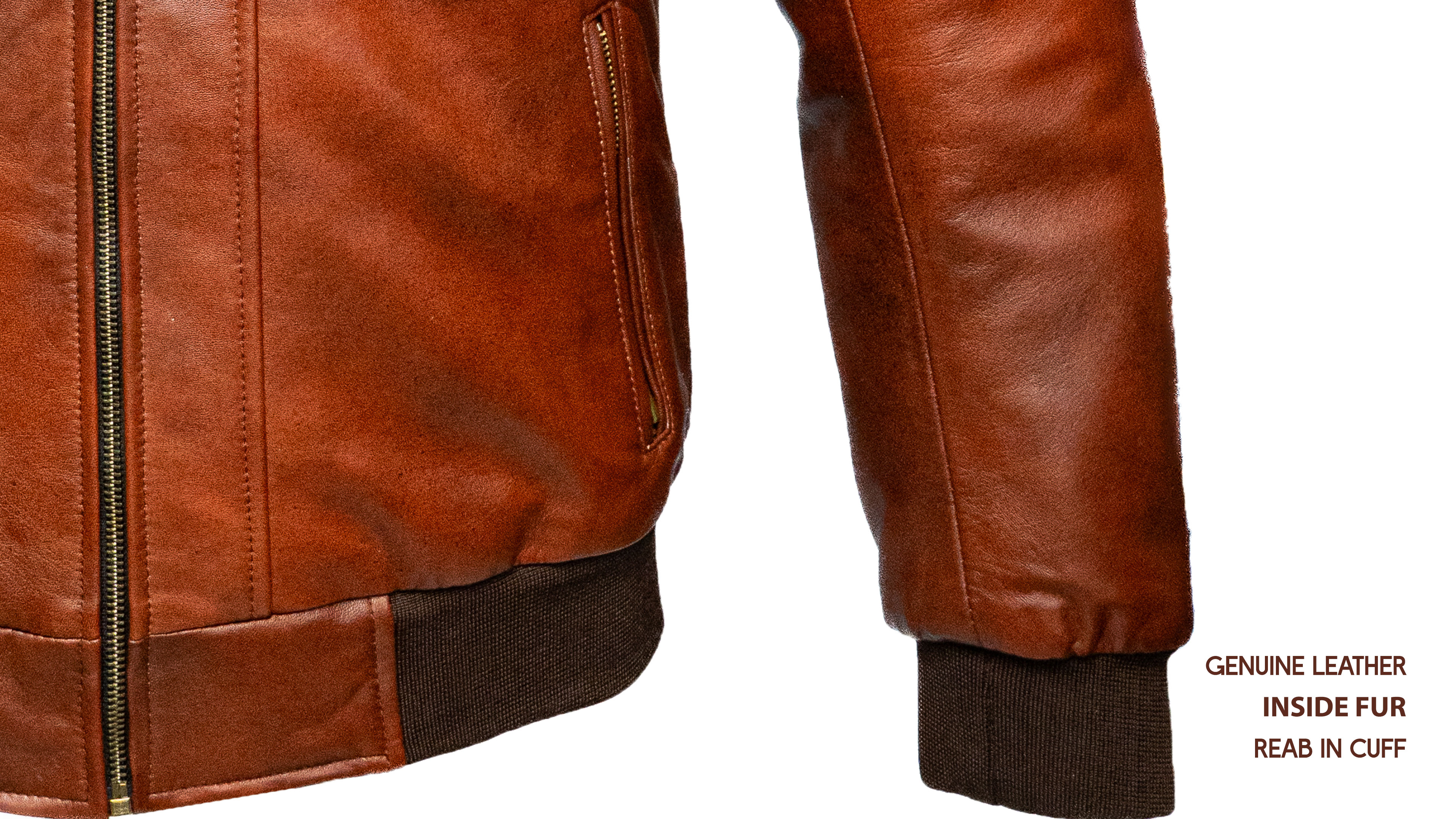 Back view of 