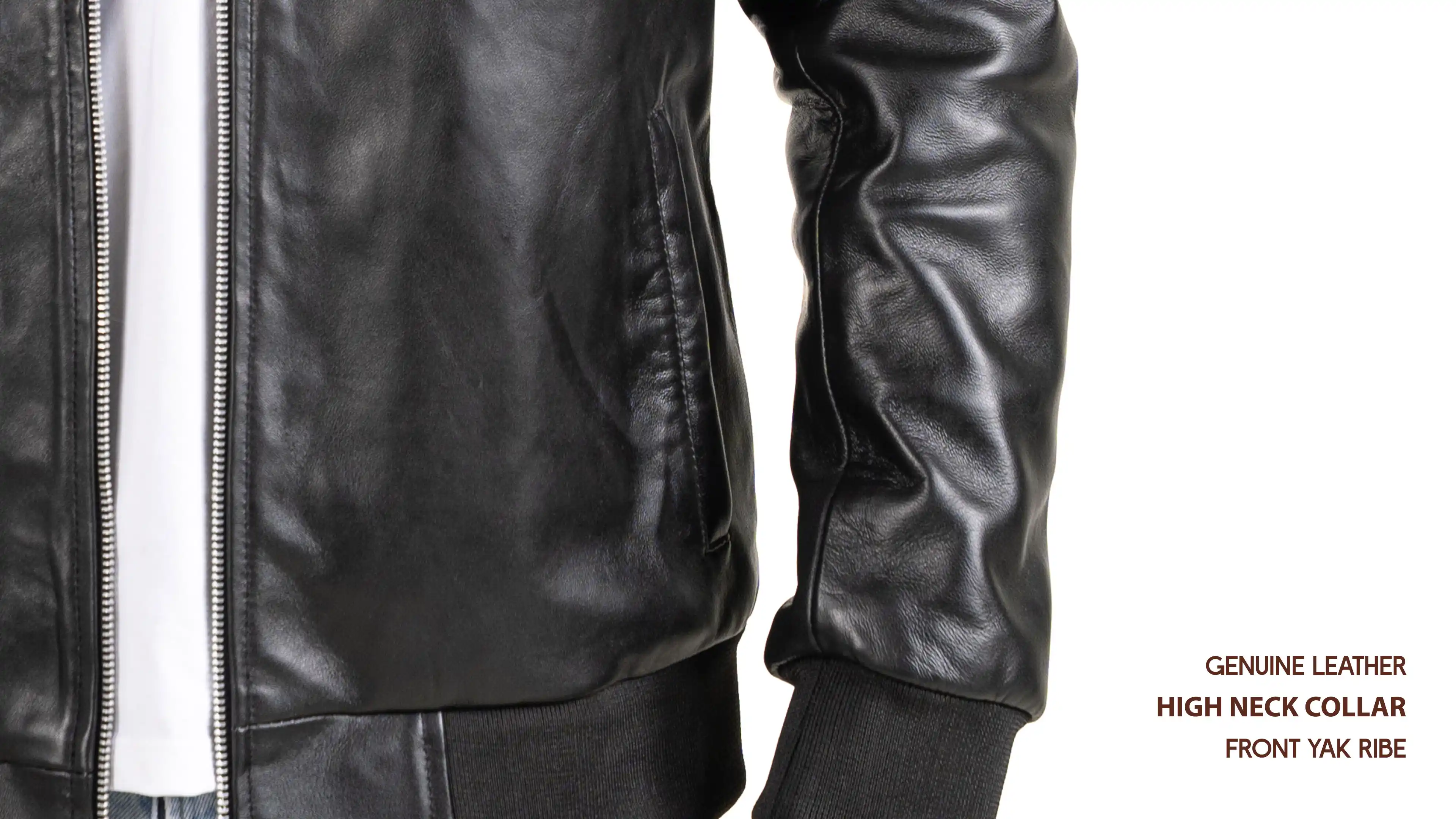 Back view of 