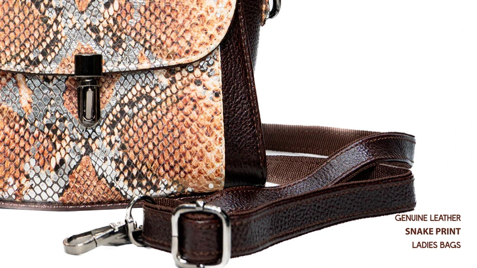 Back view of 